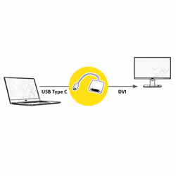 ROLINE 12.03.3205 câble vidéo et adaptateur 0,1 m USB Type-C DVI-D Argent, Blanc
