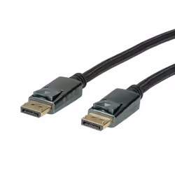 ROLINE 11045880 1 m DisplayPort Noir