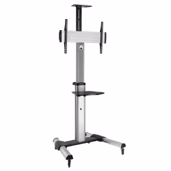 ROLINE 17031260, 94 cm (37"), 177,8 cm (70"), 200 x 200 mm, 600 x 400 mm, 5 - -12°, Argent
