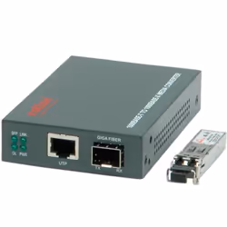 ROLINE Convertisseur Gigabit, RJ-45 - LC (avec module mini-GBIC)