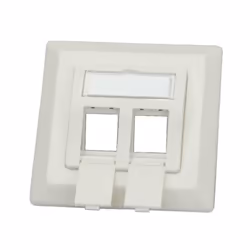 ROLINE Module pour Keystones, x2, Blanc, Plastique, 22,2 x 80 x 80 mm