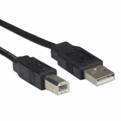 ROLINE Câble USB 2.0 plat pour Notebook 0,8m, 0,8 m, USB A, USB B, USB 2.0, Mâle/Mâle, Noir