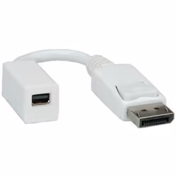 ROLINE Adaptateur DisplayPort, DP M-Mini DP F, 0,15 m, DisplayPort, Mini DisplayPort, Mâle, Femelle, Blanc