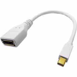 ROLINE 12.03.3163, Mini DisplayPort, DisplayPort, Mâle, Femelle, Blanc