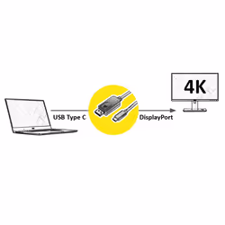 Value 11.99.5846 câble vidéo et adaptateur 2 m DisplayPort USB Type-C Noir - Vue supplémentaire 2