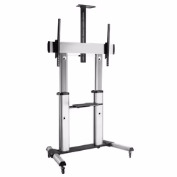 ROLINE 17.03.1261, 100 kg, 152,4 cm (60"), 2,54 m (100"), 200 x 200 mm, 1000 x 600 mm, 1200 - 1650 mm