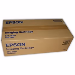 Epson Cartouche image S051022
