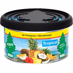 Wunder-Baum Tropical