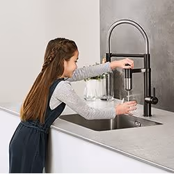 Franke 120.0621.311 filtre à eau Filtre à eau pour robinet Noir, Acier