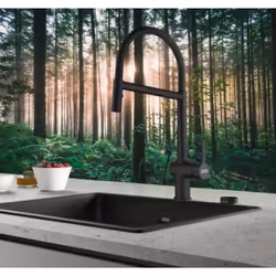 Franke Active Noir