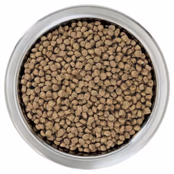 Purina 7613035118744 Alimentation sèche pour chiens 700 g Chiot Poulet