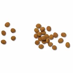Purina Pro Plan Veterinary Diets JM 12 kg Adulte Riz, Saumon, Truite