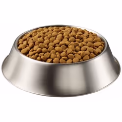Purina Pro Plan Veterinary Diets JM 12 kg Adulte Riz, Saumon, Truite