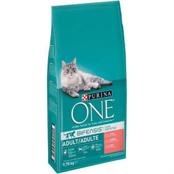 Purina ONE 12430964 croquette pour chat 9,75 kg