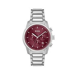 Montre Hugo Boss Trace Pour Hommes en Argent - 1514004