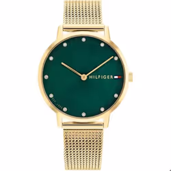 Montre - Acier Vert - Tommy Hilfiger - 1782668