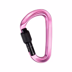 Mammut Classic carabiner for belaying, Doigt droit, Mousqueton à verrou, En forme de D, Rose, 24 kN, 8 kN
