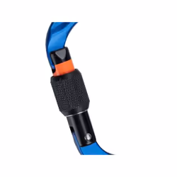 Mammut Classic carabiner for belaying Mousqueton à verrou En forme de D Bleu 1 pièce(s)