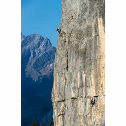 Mammut Classic HMS Twistlock Plus Carabiner Mousqueton à verrou En forme de D Aluminium Argent 1 pièce(s)