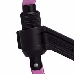 Mammut Smart HMS 2.0 Mousqueton à verrou Offset-D Aluminium Rose 1 pièce(s)