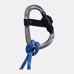 Mammut Smart HMS 2.0 Mousqueton à verrou Offset-D Aluminium Gris 1 pièce(s)