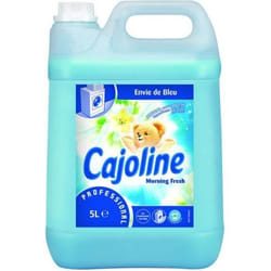 Professionnel linge adoucissant liquide fraîcheur du matin 5 l