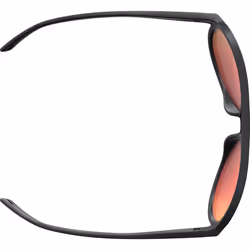 Scott Bass Chrome Lunettes de soleil, noir pour Hommes