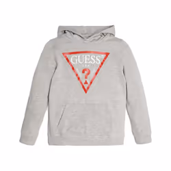 Sweatshirt à capuche molleton enfant Guess Core