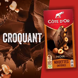 Côte dOr - 1 Tablette de chocolat noir aux noisettes entières - (180g)