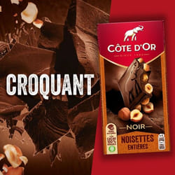 Côte dOr - 1 Tablette de chocolat noir aux noisettes entières - (180g)