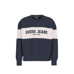 Sweatshirt à rayures Guess Horizont