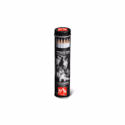 Caran d-Ache Graphite Line Noir, Gris 15 pièce(s)