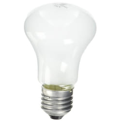 Elinchrom EL23002 Bulbe