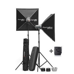 Elinchrom D-Lite RX 4/4 To Go