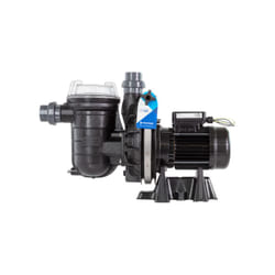 Pompe de filtration piscine La Sta-rite - Triphasée - sta-rite -