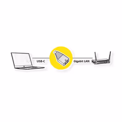ROLINE 12.02.1111 changeur de genre de câble USB Type C RJ-45 Noir, Or