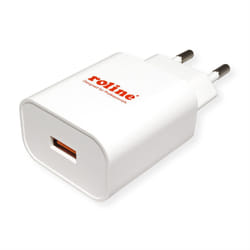 ROLINE 19111061 Universel Blanc Secteur Charge rapide Intérieure