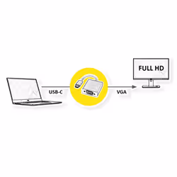 ROLINE 12033203 adaptateur graphique USB 1920 x 1080 pixels Argent