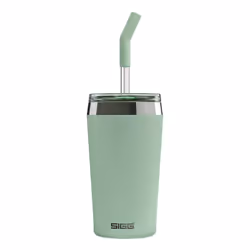 SIGG 6015.10, Vert