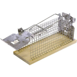 Swissinno - Piège à insectes 1 584 001 pour l'intérieur/extérieur