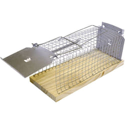 Piège à insectes Swissinno 1 585 001 pour l'intérieur/extérieur