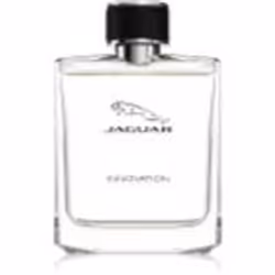 Jaguar Innovation 100 ml