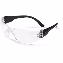 Lunette de sécurité anti-buée Crackerjack Incolore/Noir