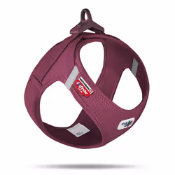 Curli Air-Mesh, Chien, Gilet, 3XS, Violet, Polyester, Chihuahua, Teckel, Jack russell terrier, Poméranien, Caniche, Bouledogu ...