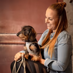 Curli Air-Mesh L Violet Polyester Chien Gilet - Vue supplémentaire 2