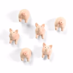 Trendform Haftmagnet PIGGY Rosa, 6 Stück, 15 mm, 21 mm, 18 mm, 6 pièce(s)