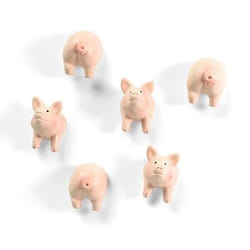 Trendform Haftmagnet PIGGY Rosa, 6 Stück aimant pour réfrigérateur Résine synthétique Rose 6 pièce(s)