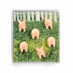 Trendform Haftmagnet PIGGY Rosa, 6 Stück aimant pour réfrigérateur Résine synthétique Rose 6 pièce(s)