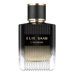 Elie Saab L'Homme 100 ml Hommes