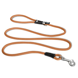 Curli Stretch Comfort Leine 1,8 m Orange Nylon Chien Laisse standard
